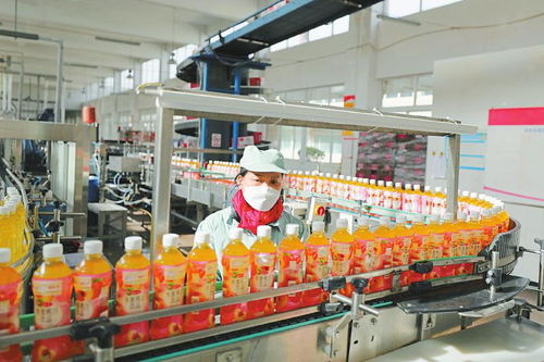 多產業協同發展 鋁產業、綠色家居與食品飲料等重點領域的建設與營商環境優化